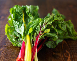 Swiss Chard